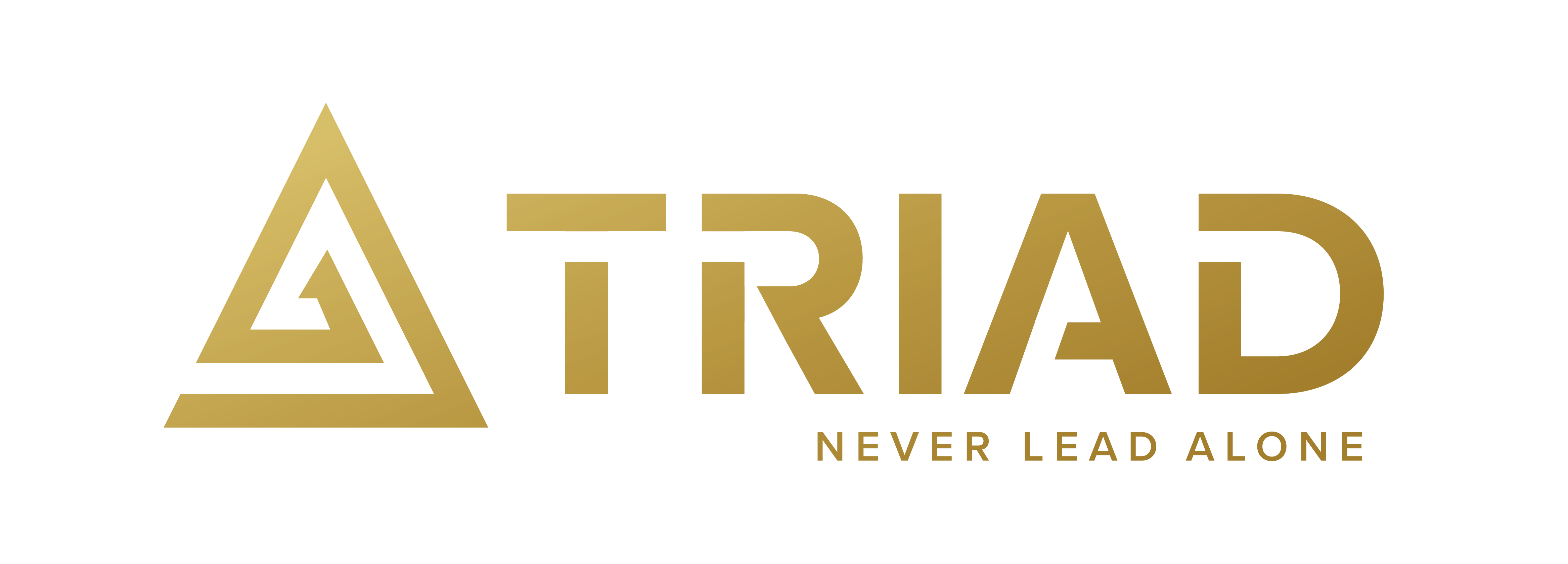 Triad Logo